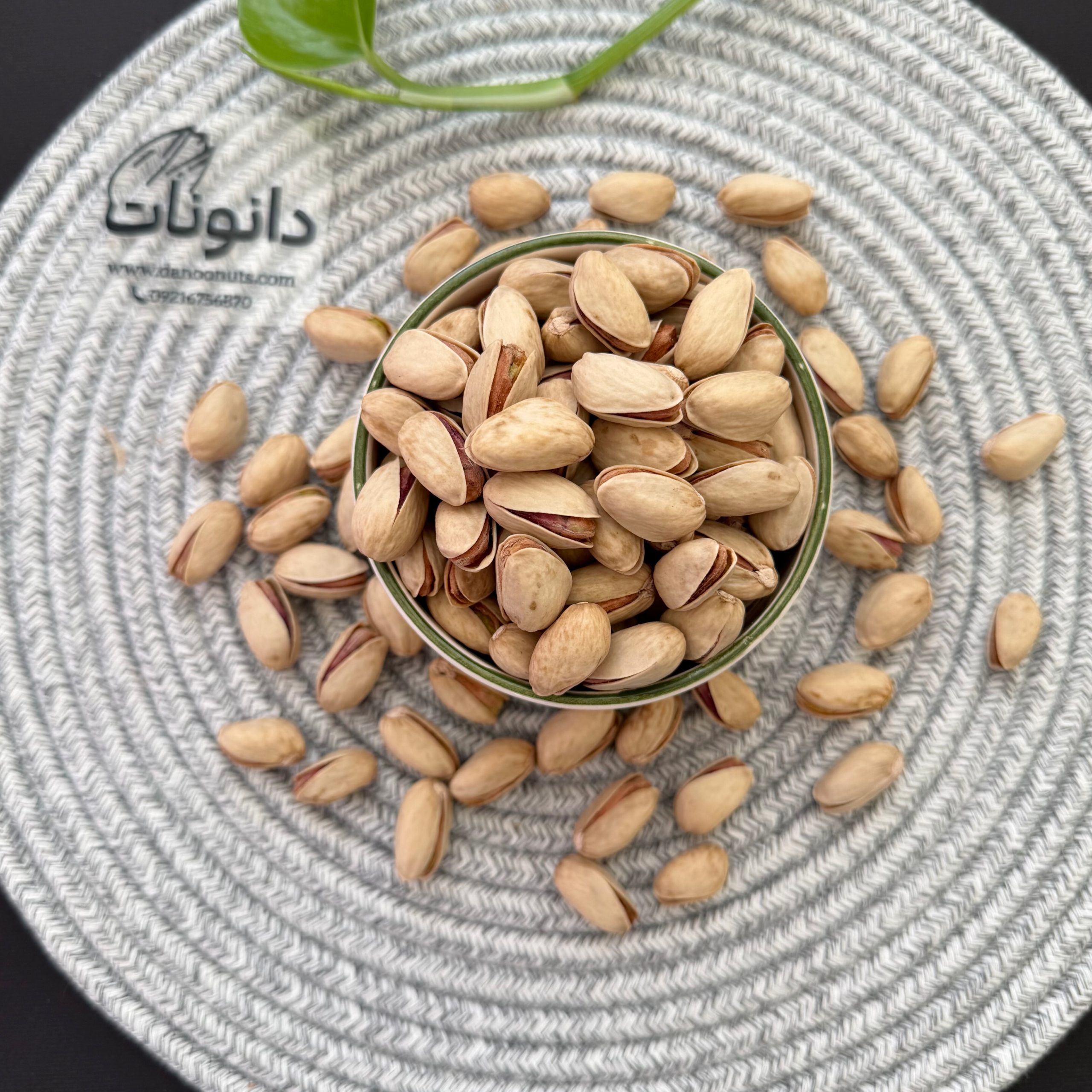 InShot_20260510_083806351 پسته عباسعلی خام دانونات - تصویر 1