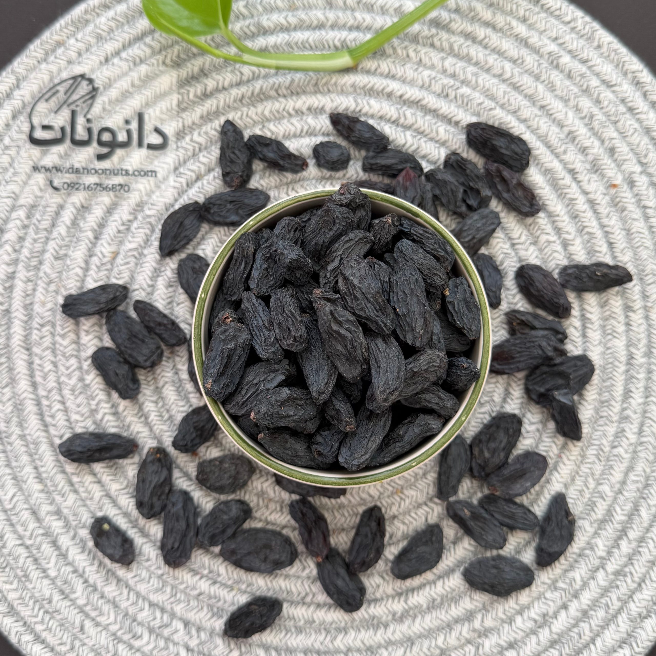 InShot_20260508_161227008 مویز ازبک لوکس دانونات|خرید مویز ازبک - تصویر 1