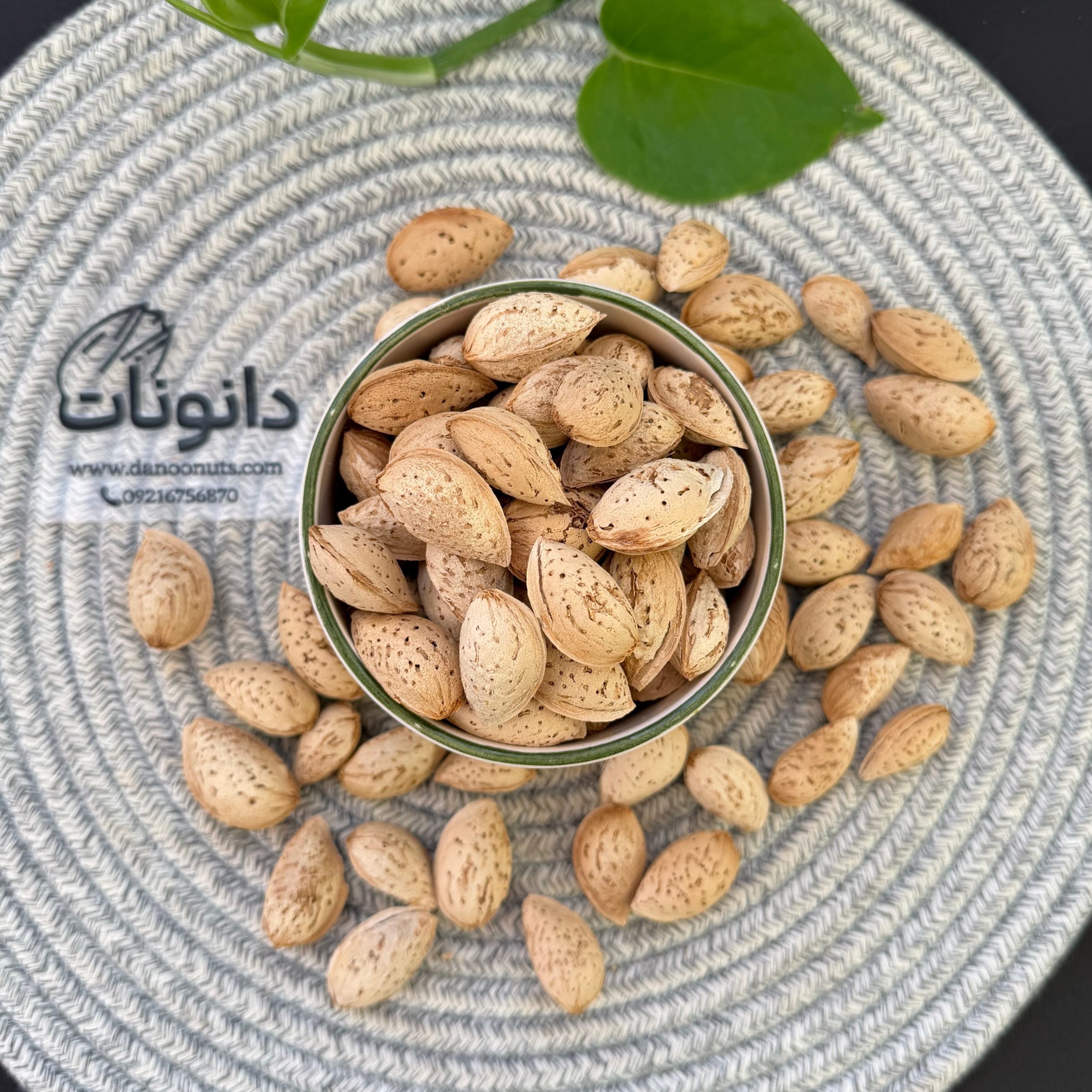 InShot_20260526_165253998 بادام درختی محب خام دانونات - تصویر 1